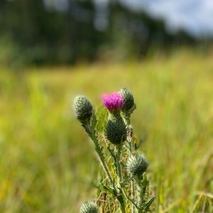 Meet your Posher, Seth